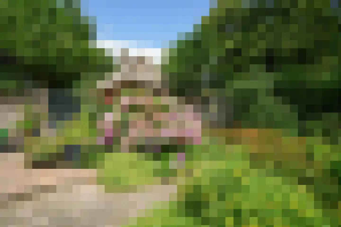 Heulenslag 65 Bleskensgraaf ca thumbnail 48