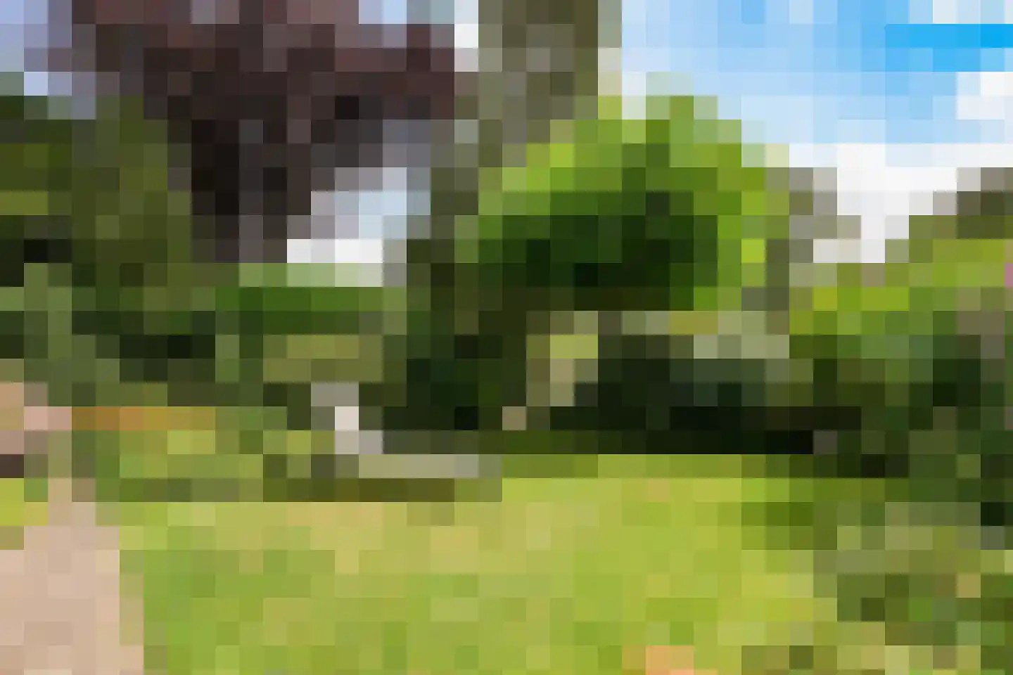 Heulenslag 65 Bleskensgraaf ca thumbnail 50