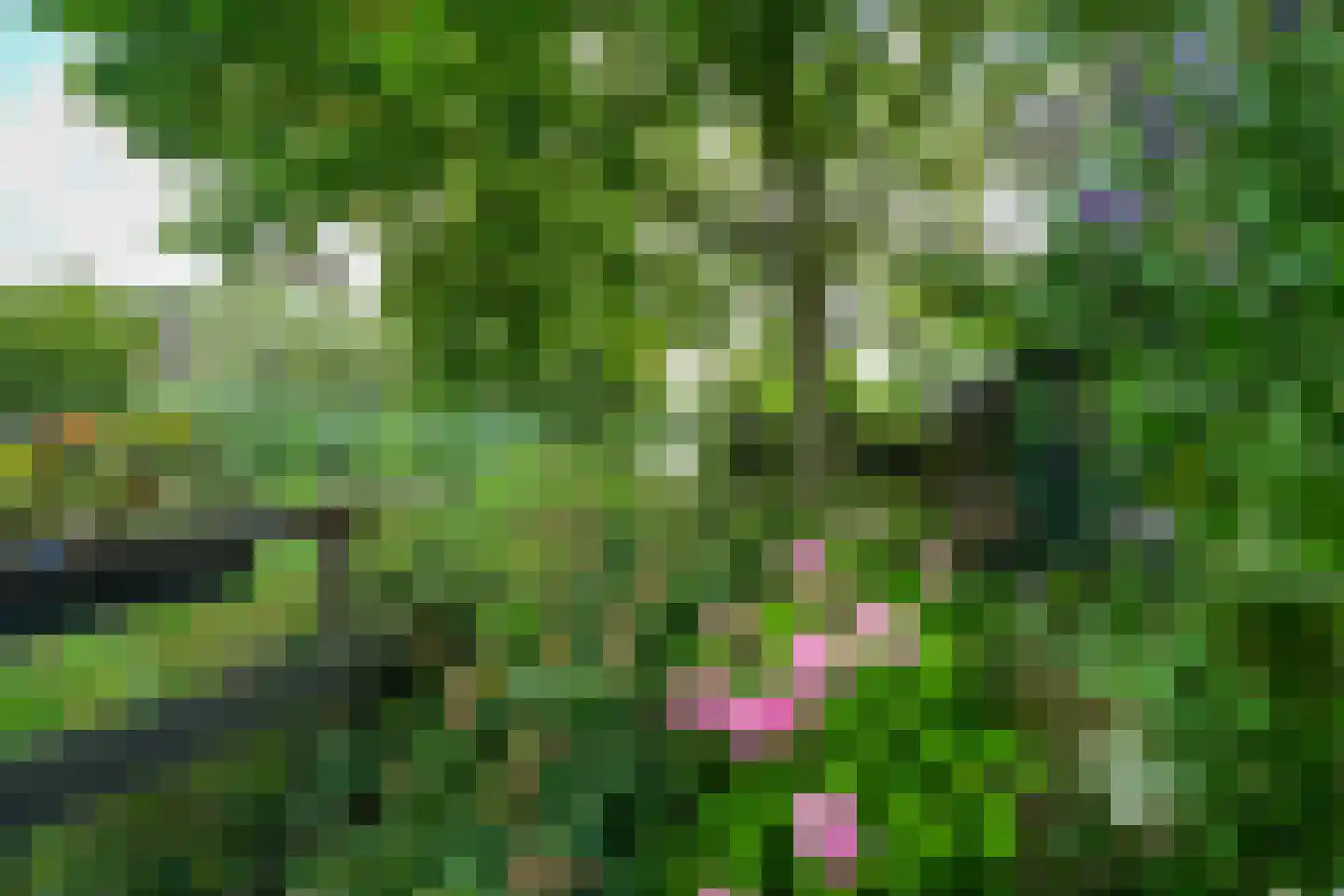 Heulenslag 65 Bleskensgraaf ca thumbnail 53