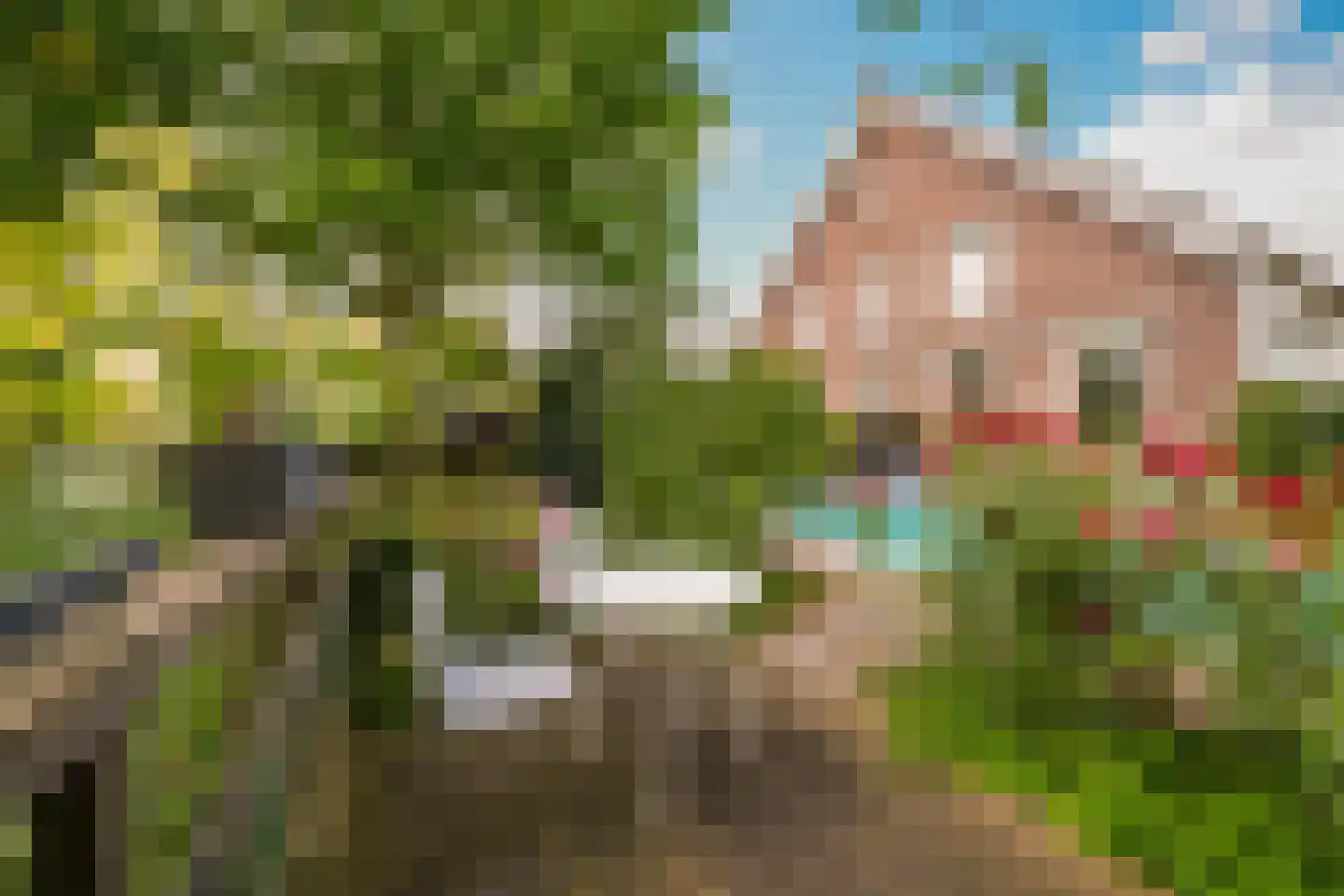 Heulenslag 65 Bleskensgraaf ca thumbnail 54