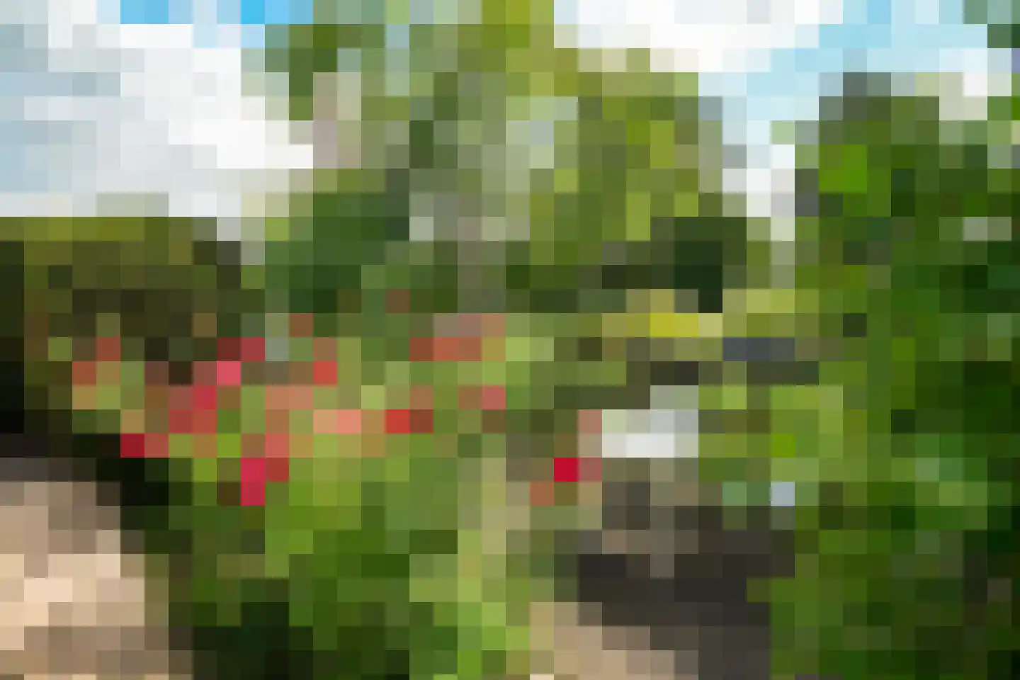 Heulenslag 65 Bleskensgraaf ca thumbnail 55