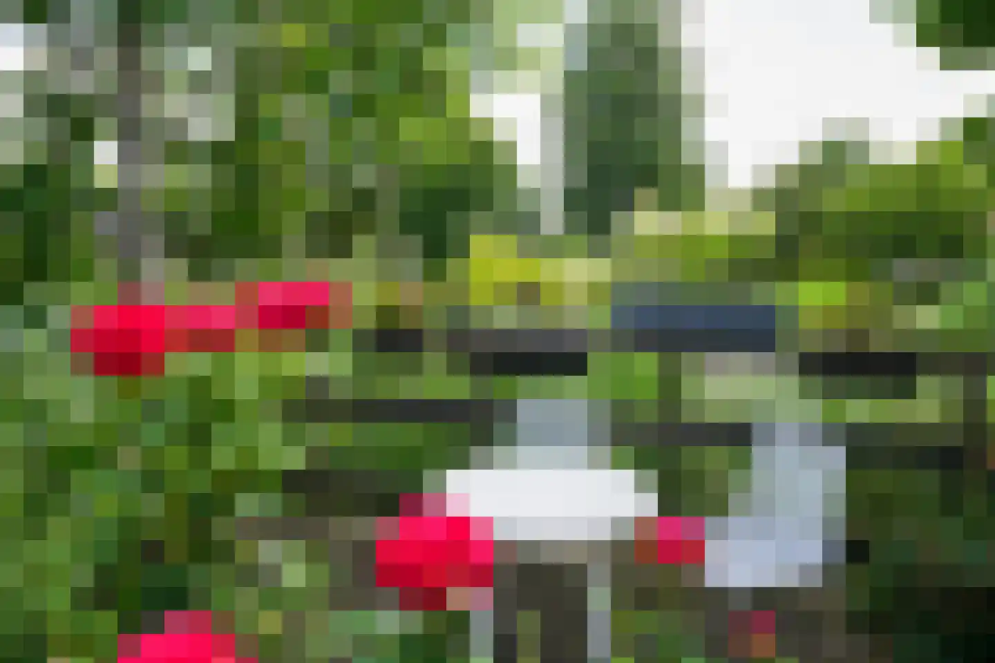Heulenslag 65 Bleskensgraaf ca thumbnail 56