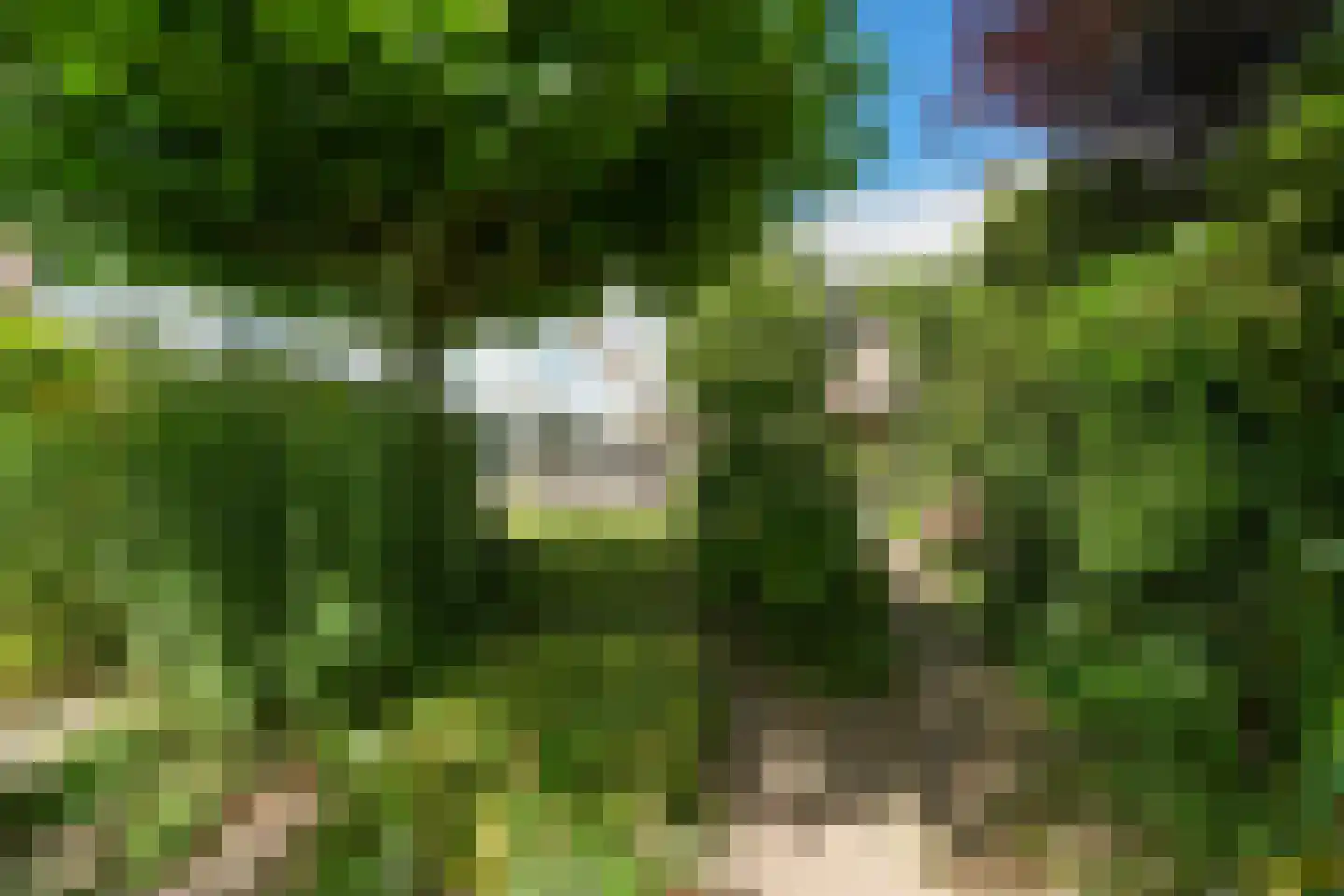 Heulenslag 65 Bleskensgraaf ca thumbnail 58