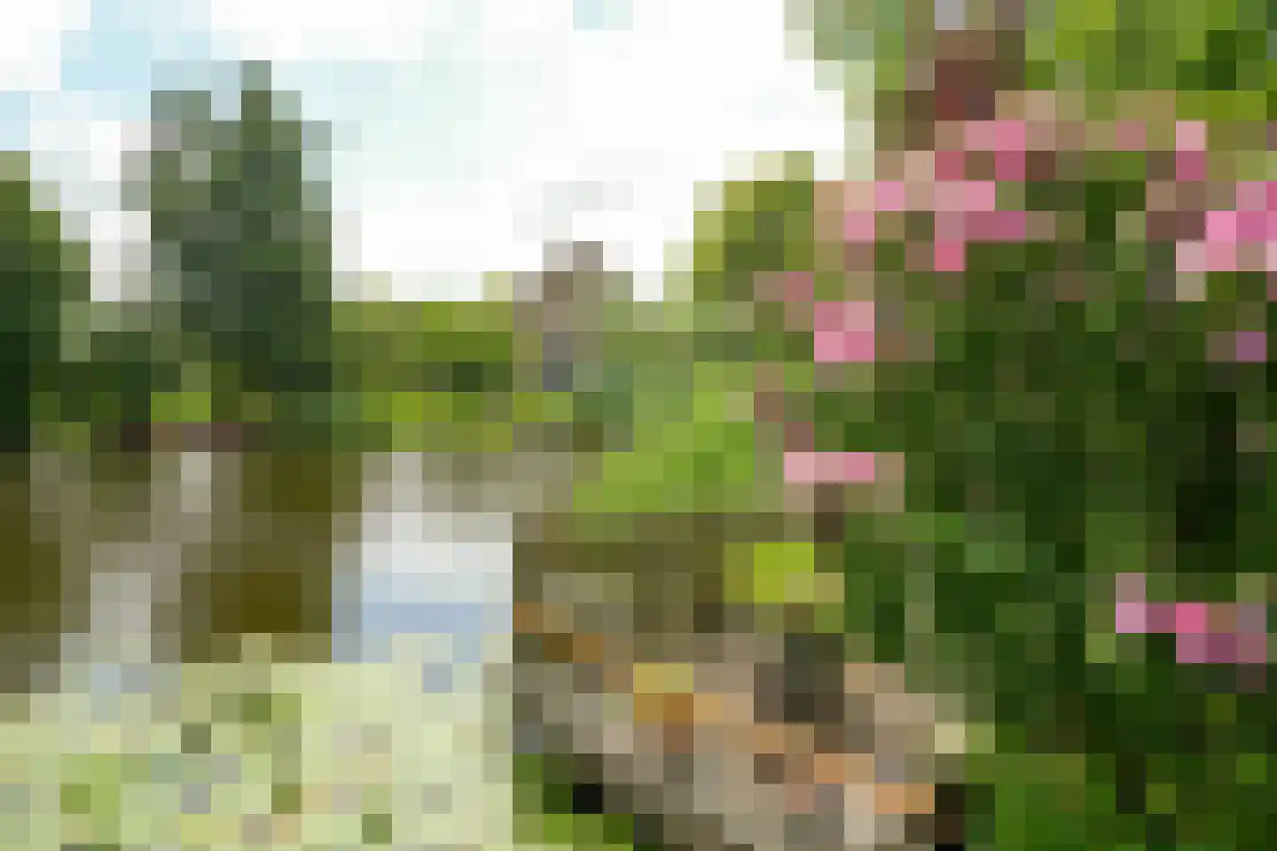 Heulenslag 65 Bleskensgraaf ca thumbnail 62