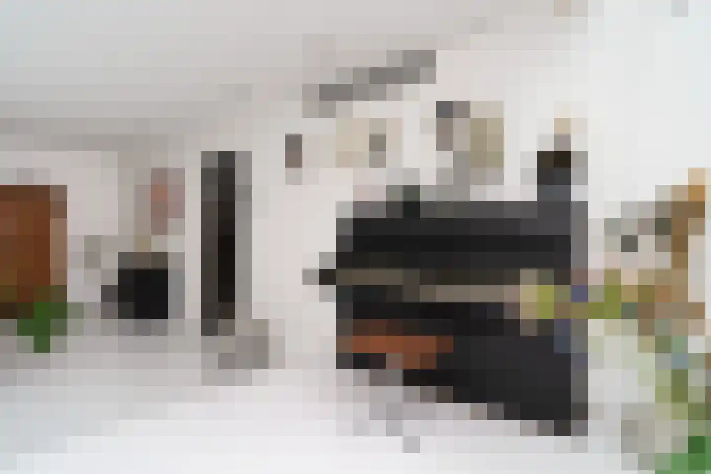 Heulenslag 65 Bleskensgraaf ca thumbnail 8