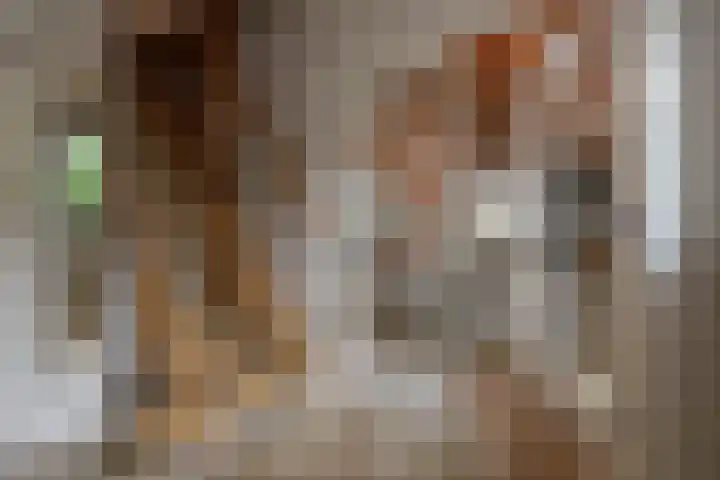 Heulenslag 76 a Bleskensgraaf ca thumbnail 13