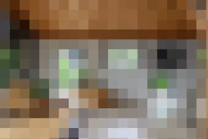 Heulenslag 76 a Bleskensgraaf ca thumbnail 17