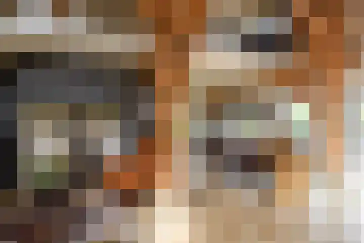 Heulenslag 76 a Bleskensgraaf ca thumbnail 18