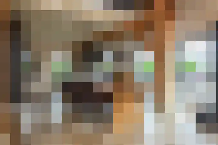 Heulenslag 76 a Bleskensgraaf ca thumbnail 19