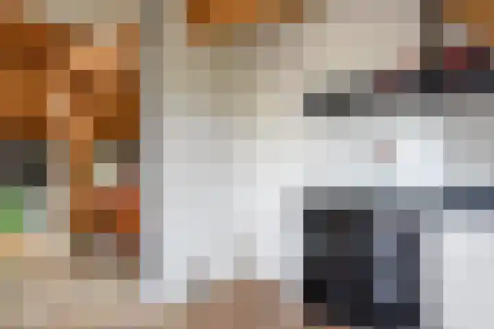 Heulenslag 76 a Bleskensgraaf ca thumbnail 20