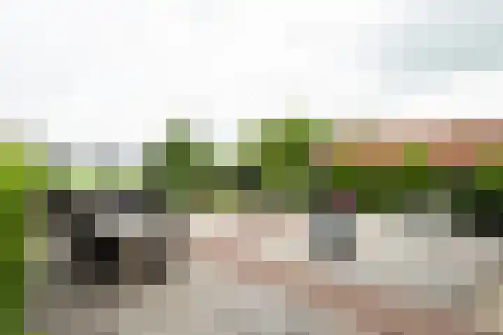 Heulenslag 76 a Bleskensgraaf ca foto 3