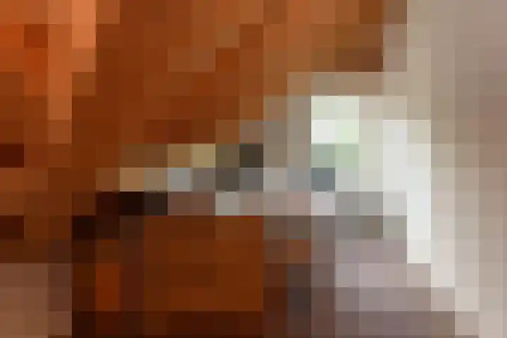 Heulenslag 76 a Bleskensgraaf ca thumbnail 31