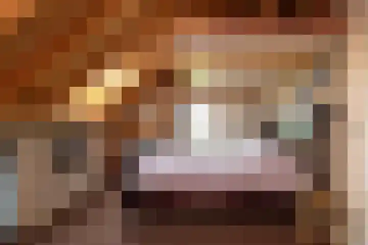 Heulenslag 76 a Bleskensgraaf ca thumbnail 32