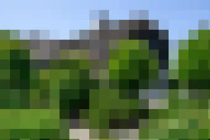 Heulenslag 76 a Bleskensgraaf ca thumbnail 49