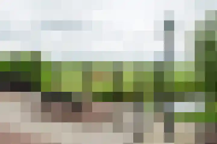 Heulenslag 76 a Bleskensgraaf ca thumbnail 5