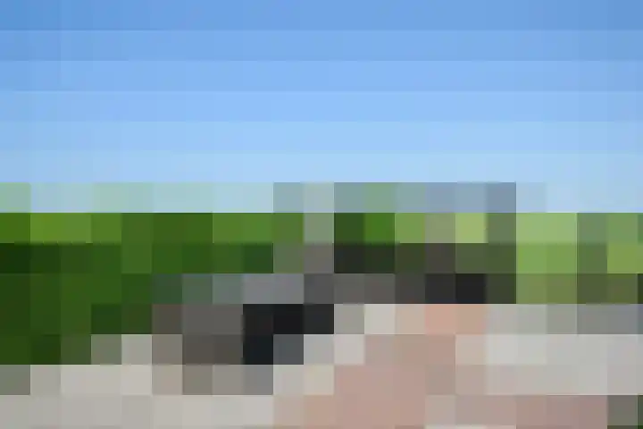 Heulenslag 76 a Bleskensgraaf ca thumbnail 50
