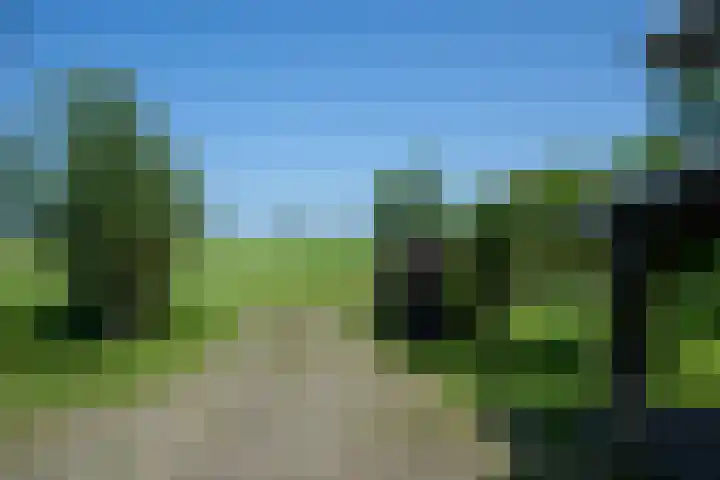 Heulenslag 76 a Bleskensgraaf ca thumbnail 8