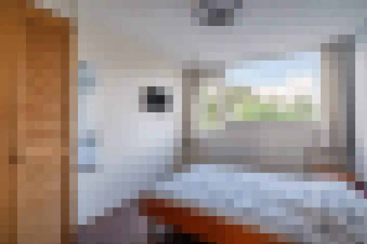 Heulestein 56 Montfoort thumbnail 10