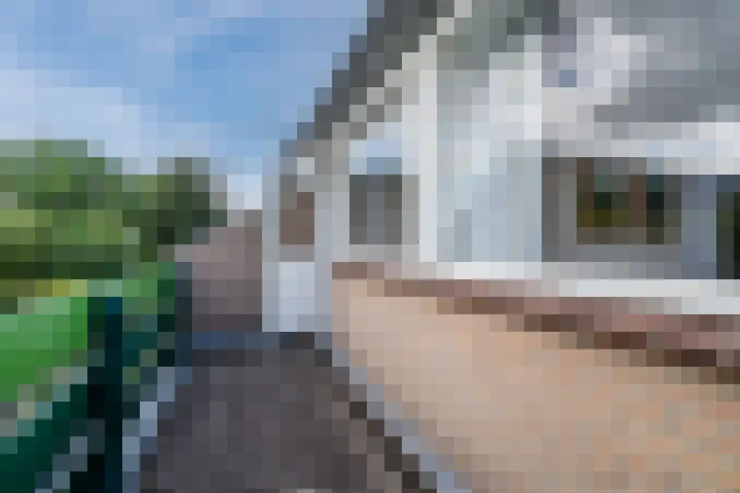 Heulestein 56 Montfoort thumbnail 21