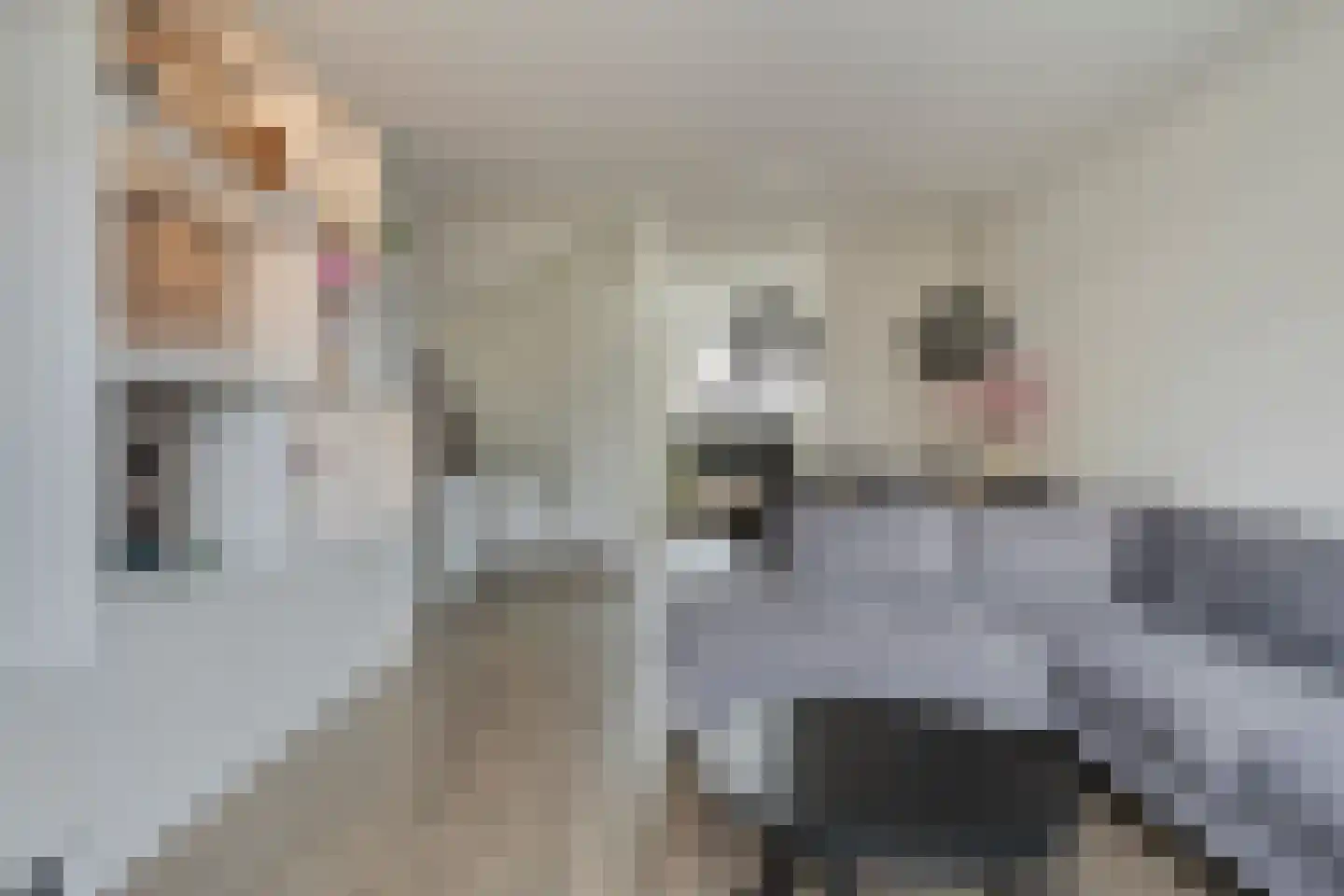 Heullaan 40 Oudenhoorn thumbnail 10