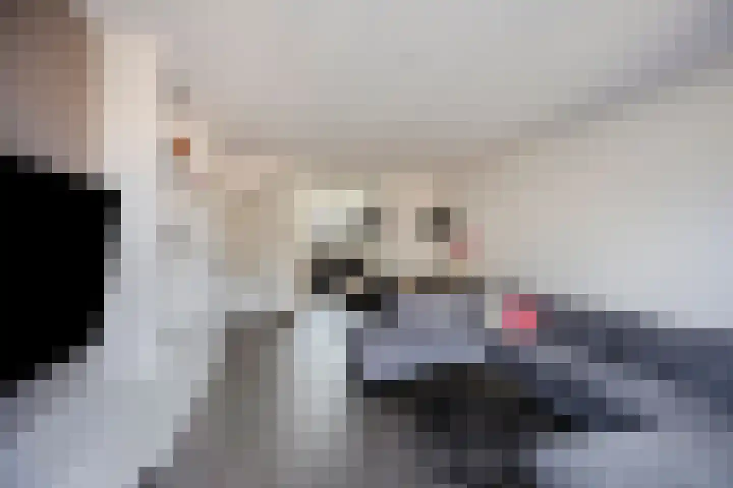 Heullaan 40 Oudenhoorn thumbnail 17