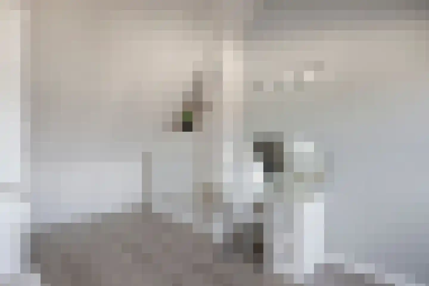 Heullaan 40 Oudenhoorn thumbnail 40