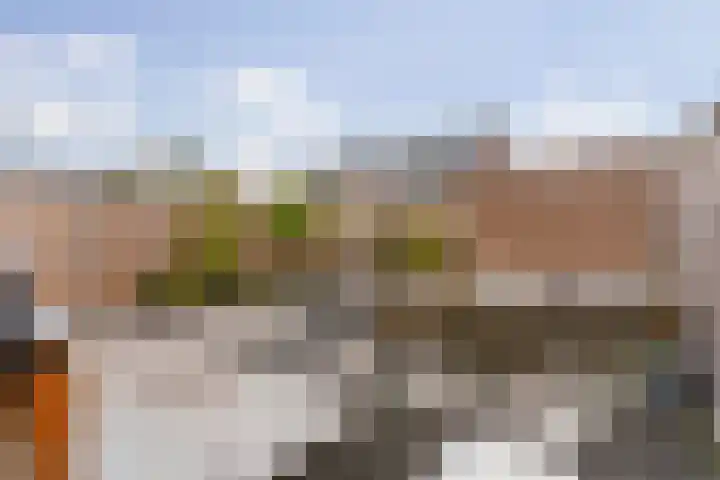 Heullaan 46 Oudenhoorn thumbnail 18