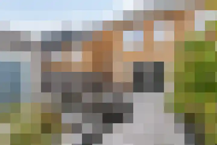 Heullaan 46 Oudenhoorn thumbnail 20