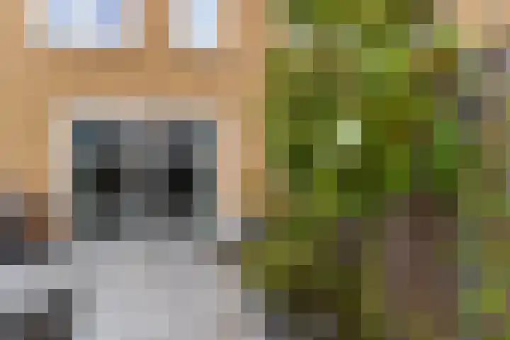 Heullaan 46 Oudenhoorn thumbnail 21