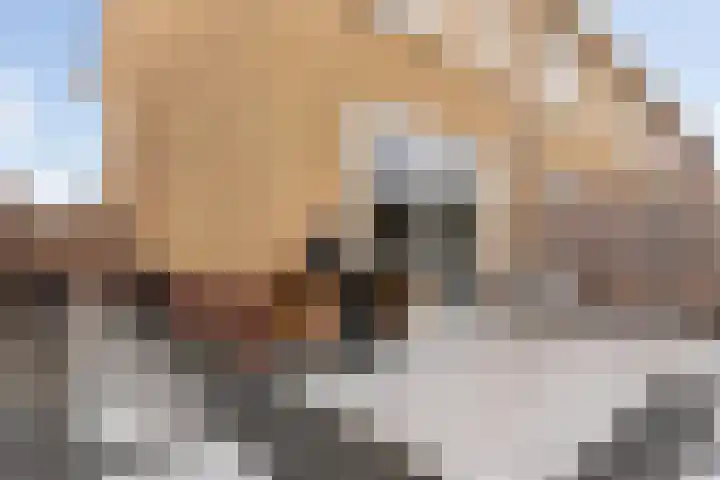 Heullaan 46 Oudenhoorn thumbnail 22