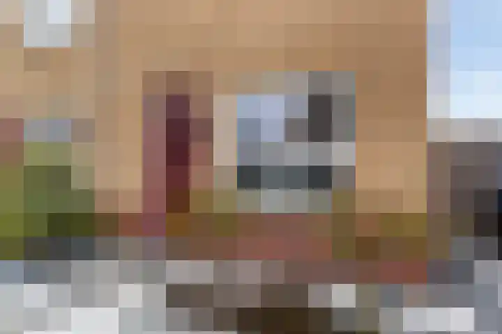 Heullaan 46 Oudenhoorn thumbnail 5