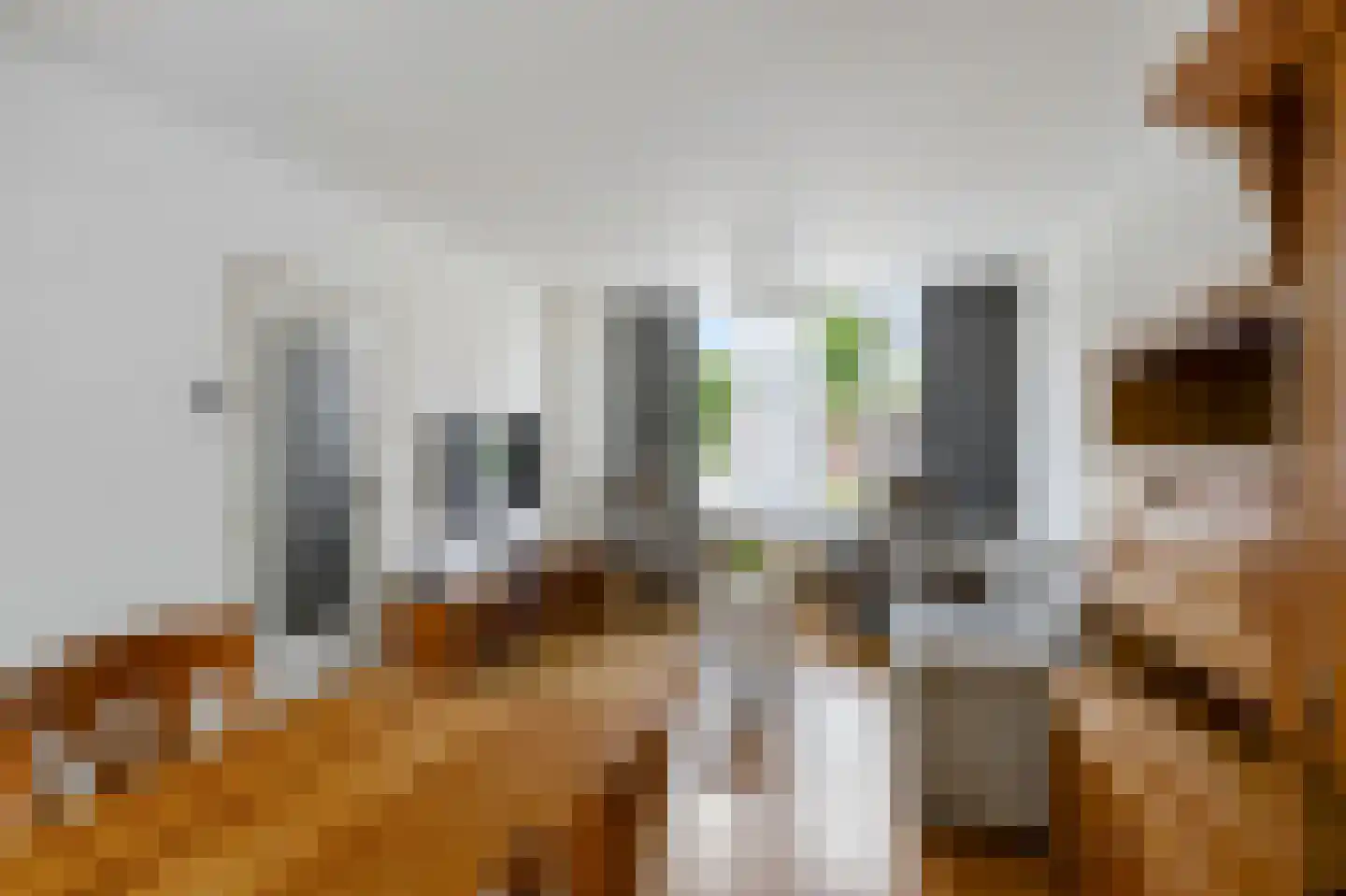 Heulsterstraat 1 Susteren thumbnail 12