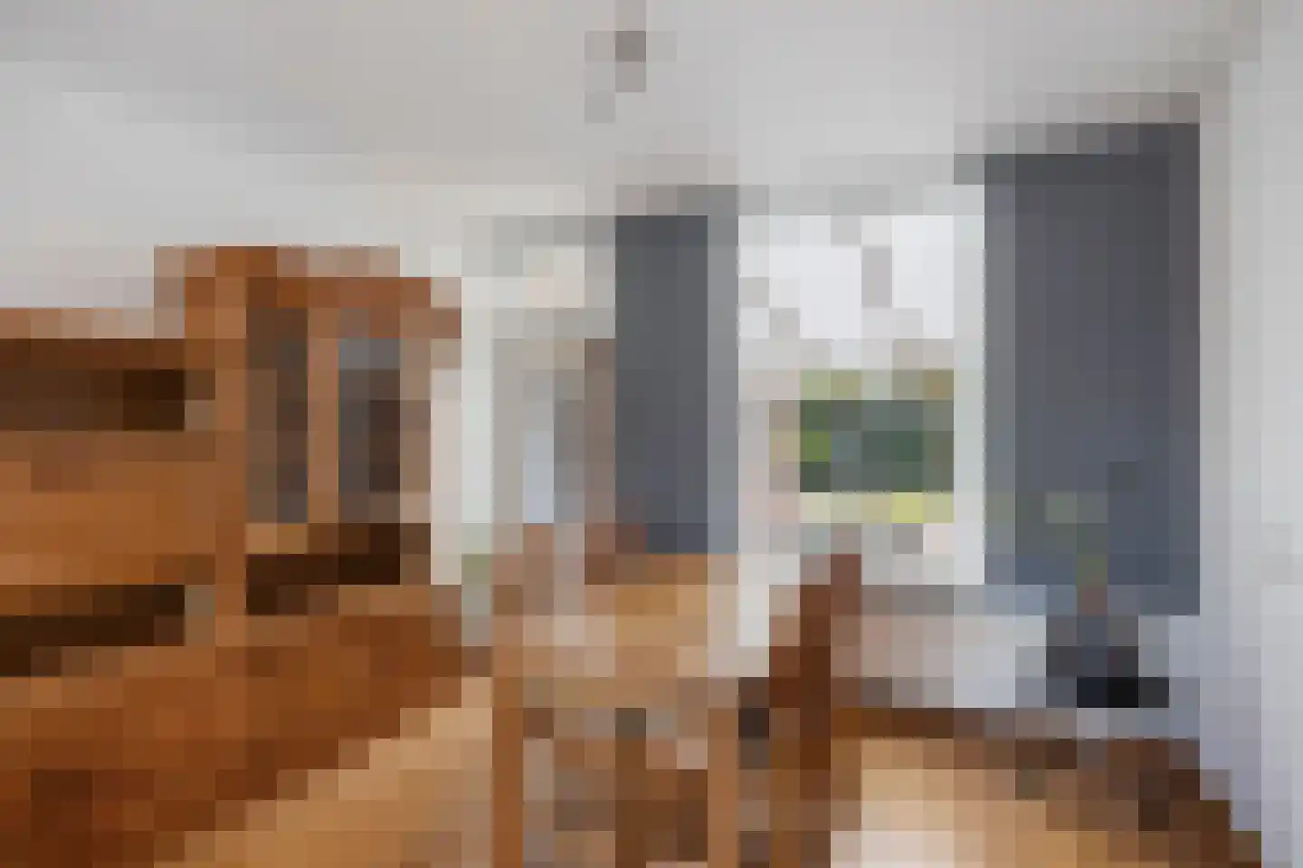Heulsterstraat 1 Susteren thumbnail 13