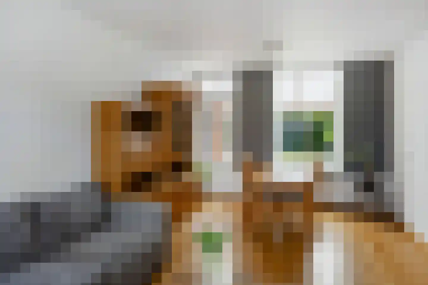 Heulsterstraat 1 Susteren thumbnail 15