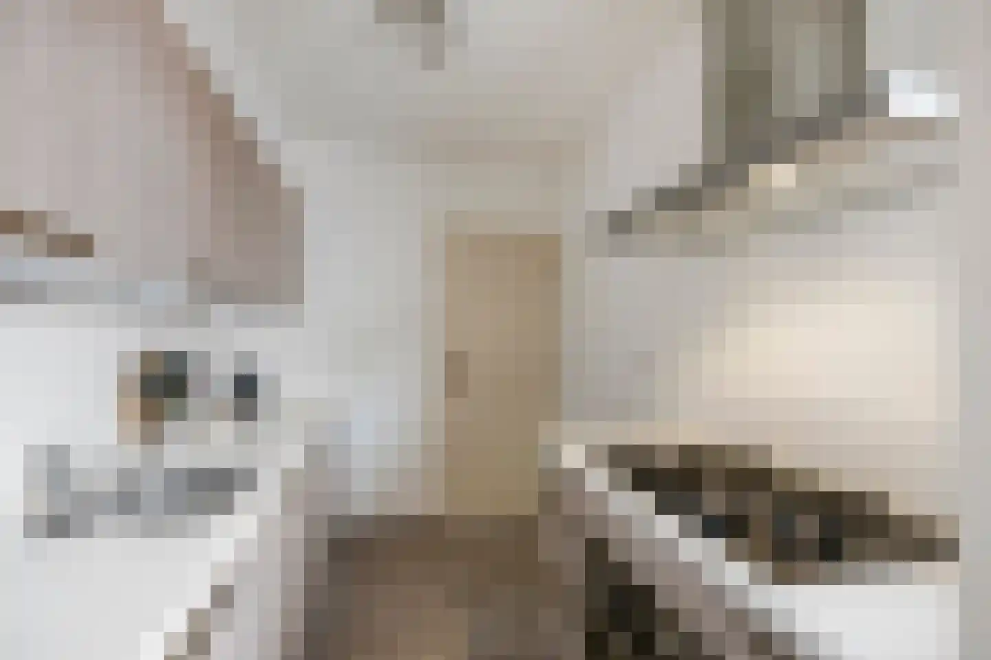 Heulsterstraat 1 Susteren thumbnail 17