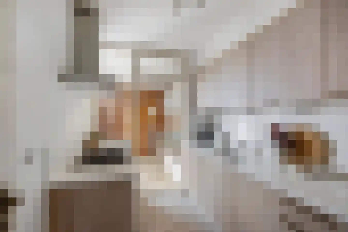 Heulsterstraat 1 Susteren thumbnail 20