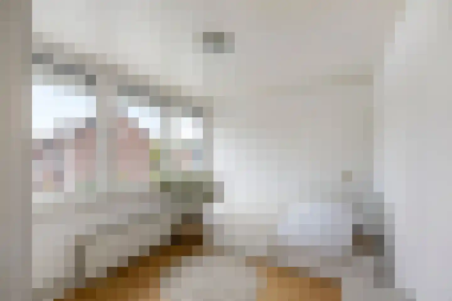 Heulsterstraat 1 Susteren thumbnail 25