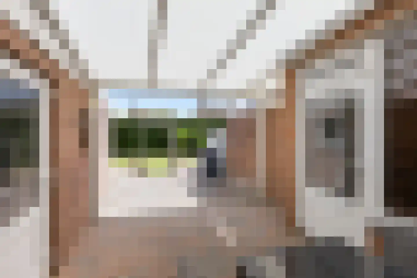 Heulsterstraat 1 Susteren thumbnail 30
