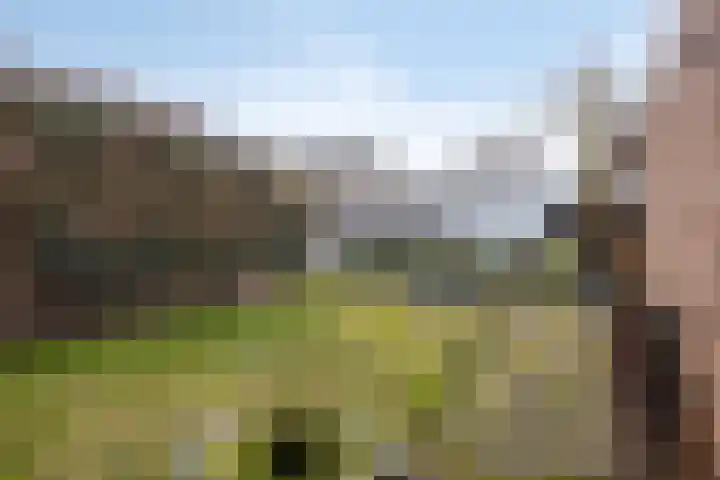 Heulsterstraat 54 Susteren thumbnail 18