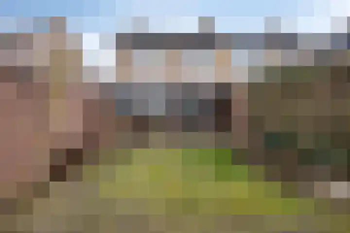 Heulsterstraat 54 Susteren thumbnail 19