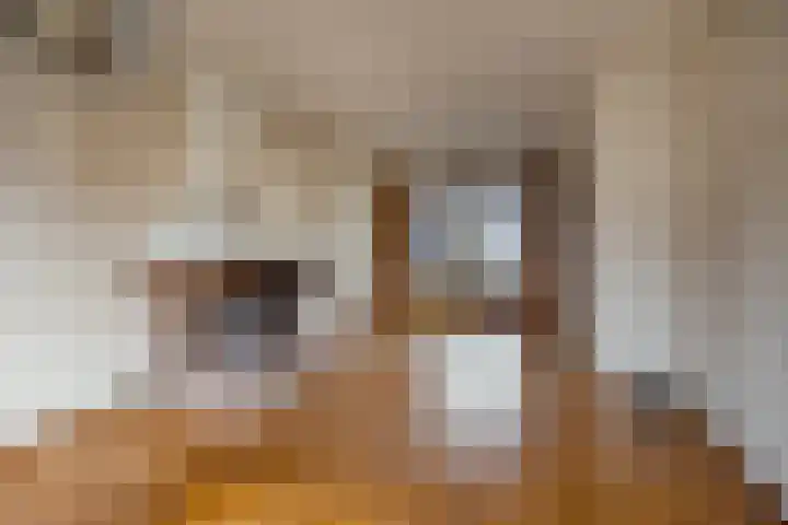 Heulsterstraat 54 Susteren thumbnail 6