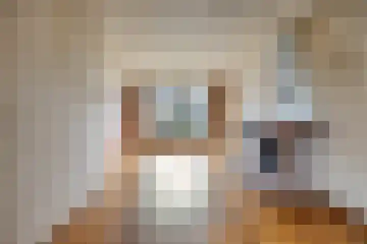 Heulsterstraat 54 Susteren thumbnail 8