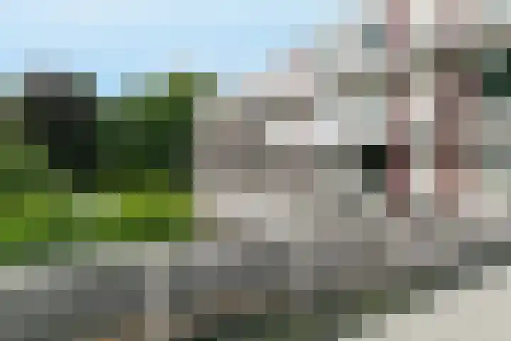 Heulstraat 15 Waalwijk thumbnail 18