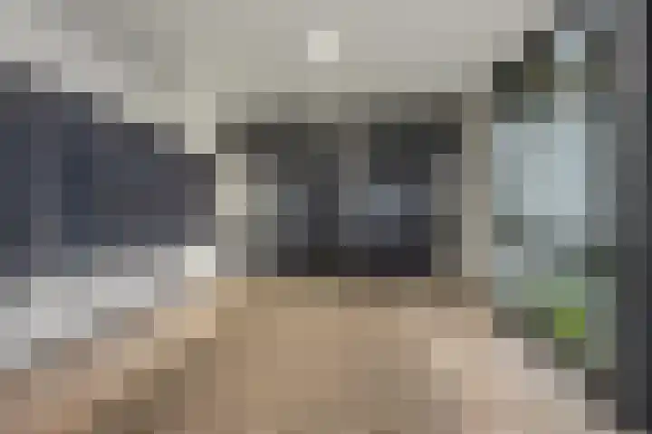 Heulstraat 15 Waalwijk thumbnail 20