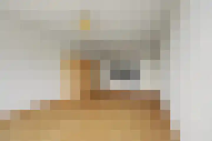 Heulstraat 15 Waalwijk thumbnail 9