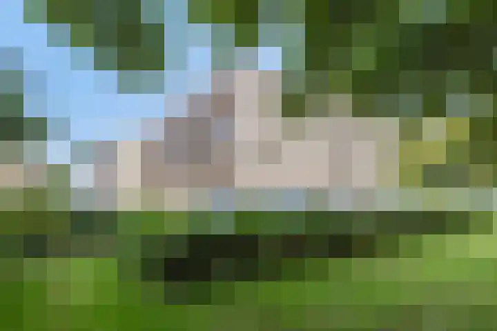 Heulstraat 17 Waalwijk thumbnail 30