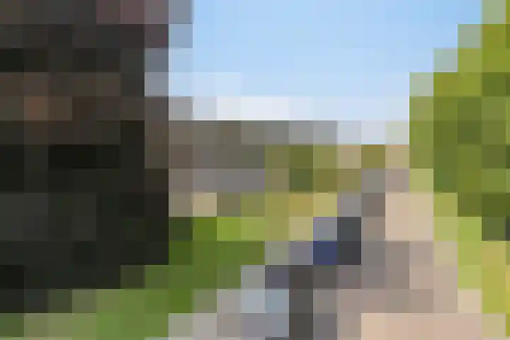 Heulstraat 17 Waalwijk thumbnail 32