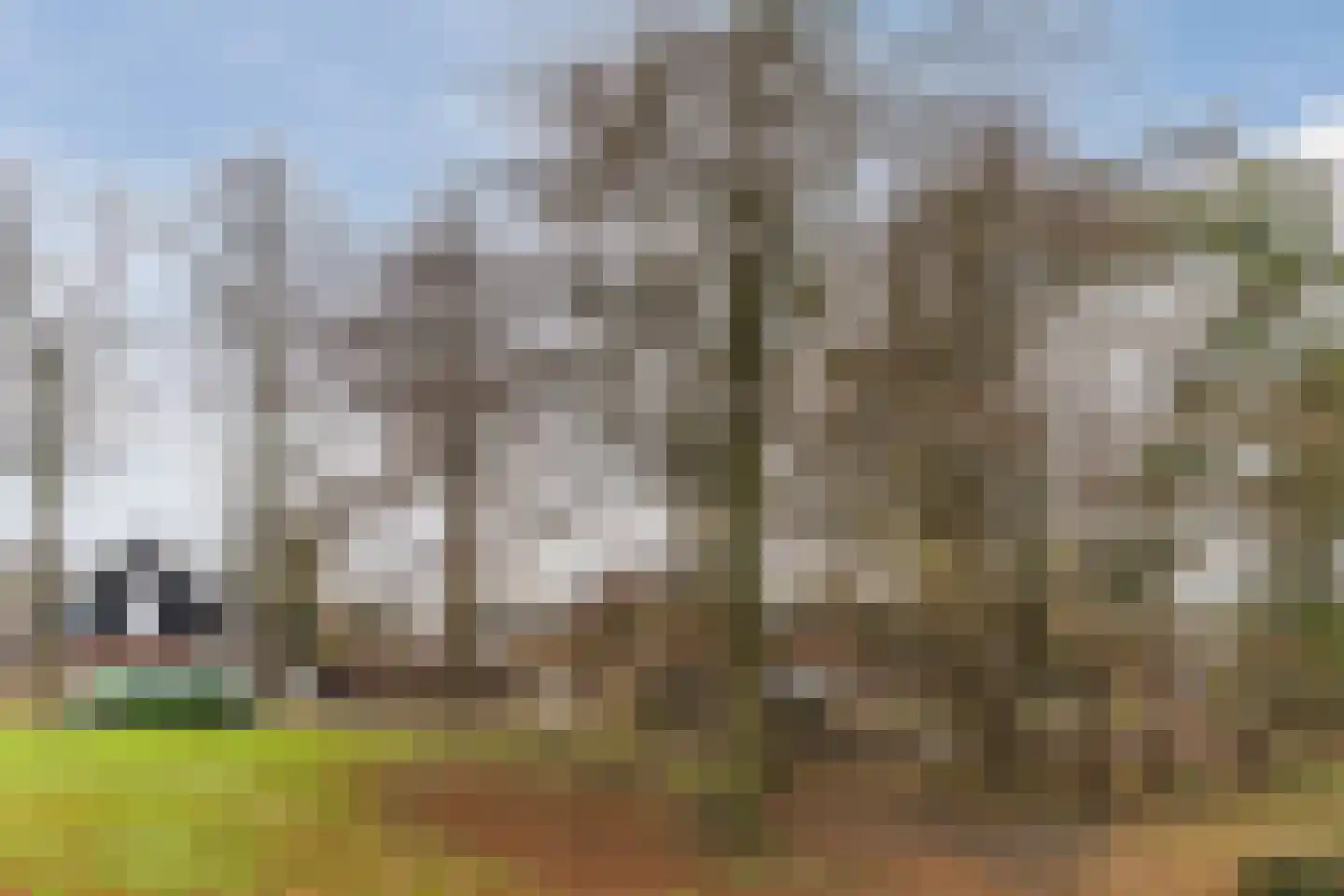 Heulstraat 19 Waalwijk thumbnail 29