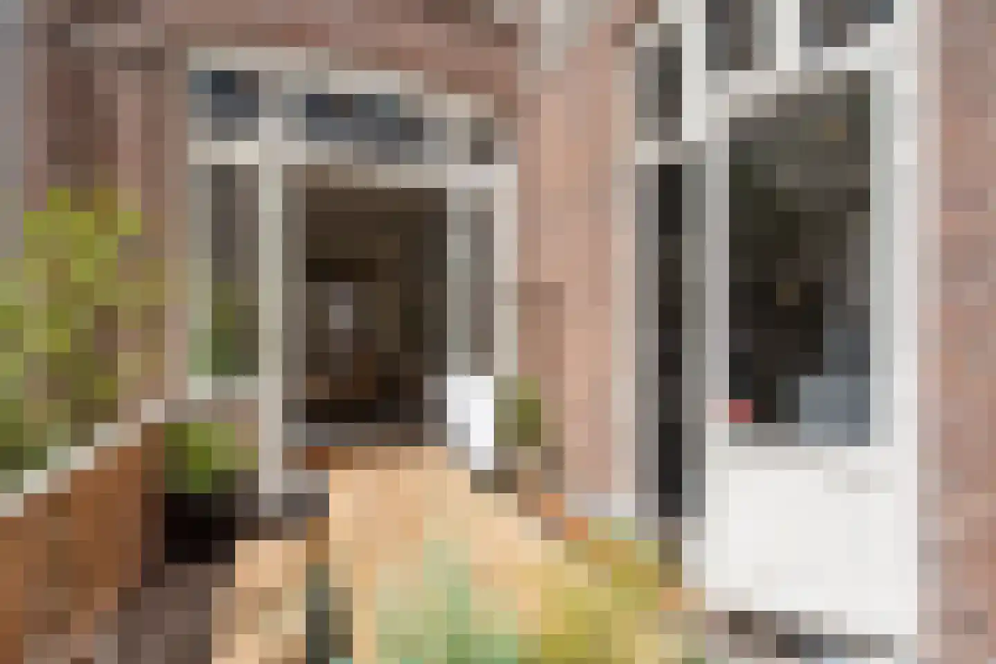 Heulstraat 23 Den Haag thumbnail 14