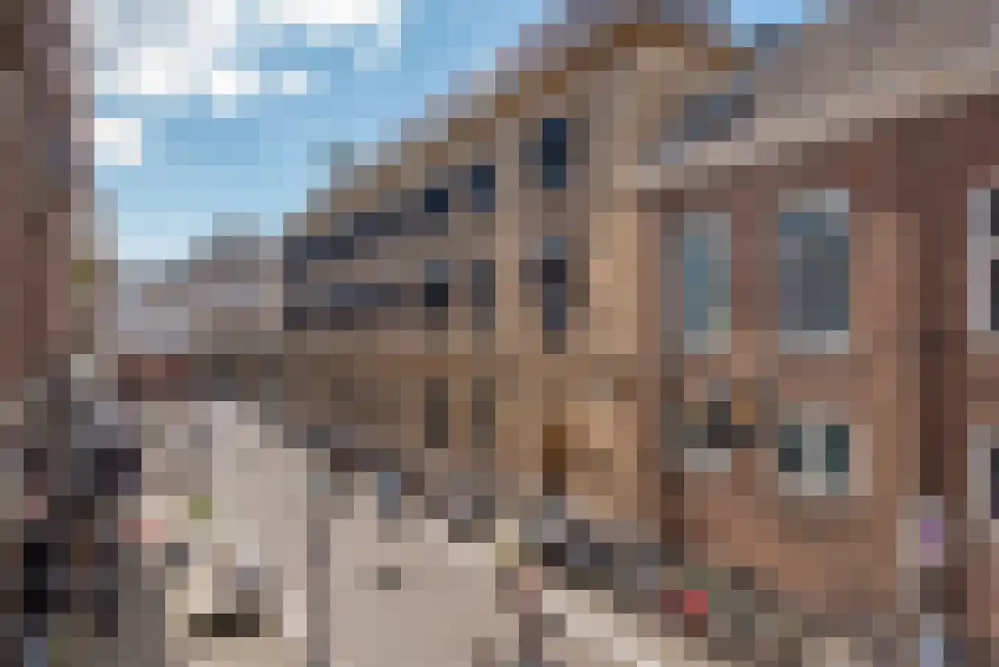 Heulstraat 23 Den Haag thumbnail 33